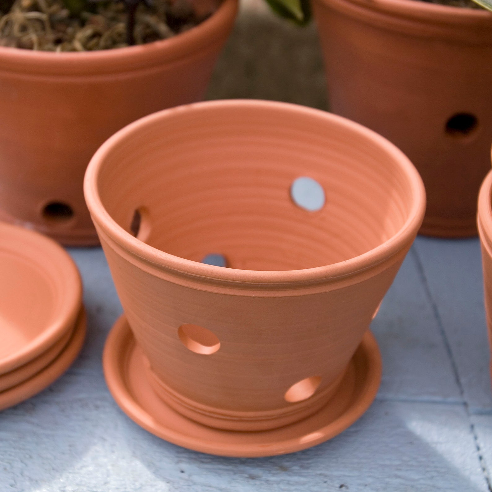 Small Orchid Terracotta Planterhandmade Orchid Pot Holes for Etsy