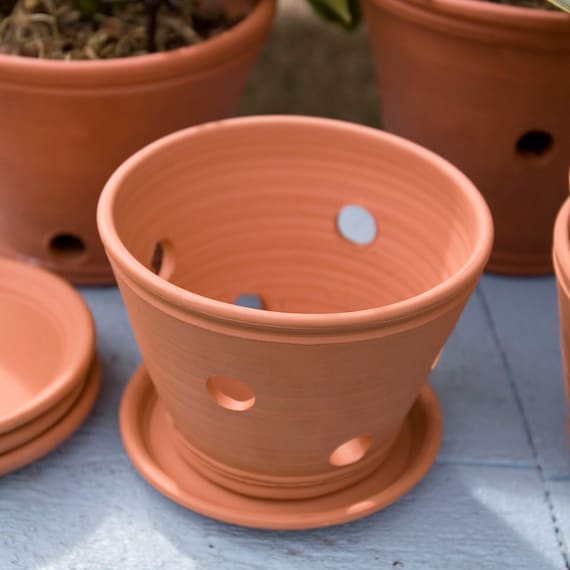 Pot droit coloré pour Orchidées Terracotta - Les Poteries d'Albi