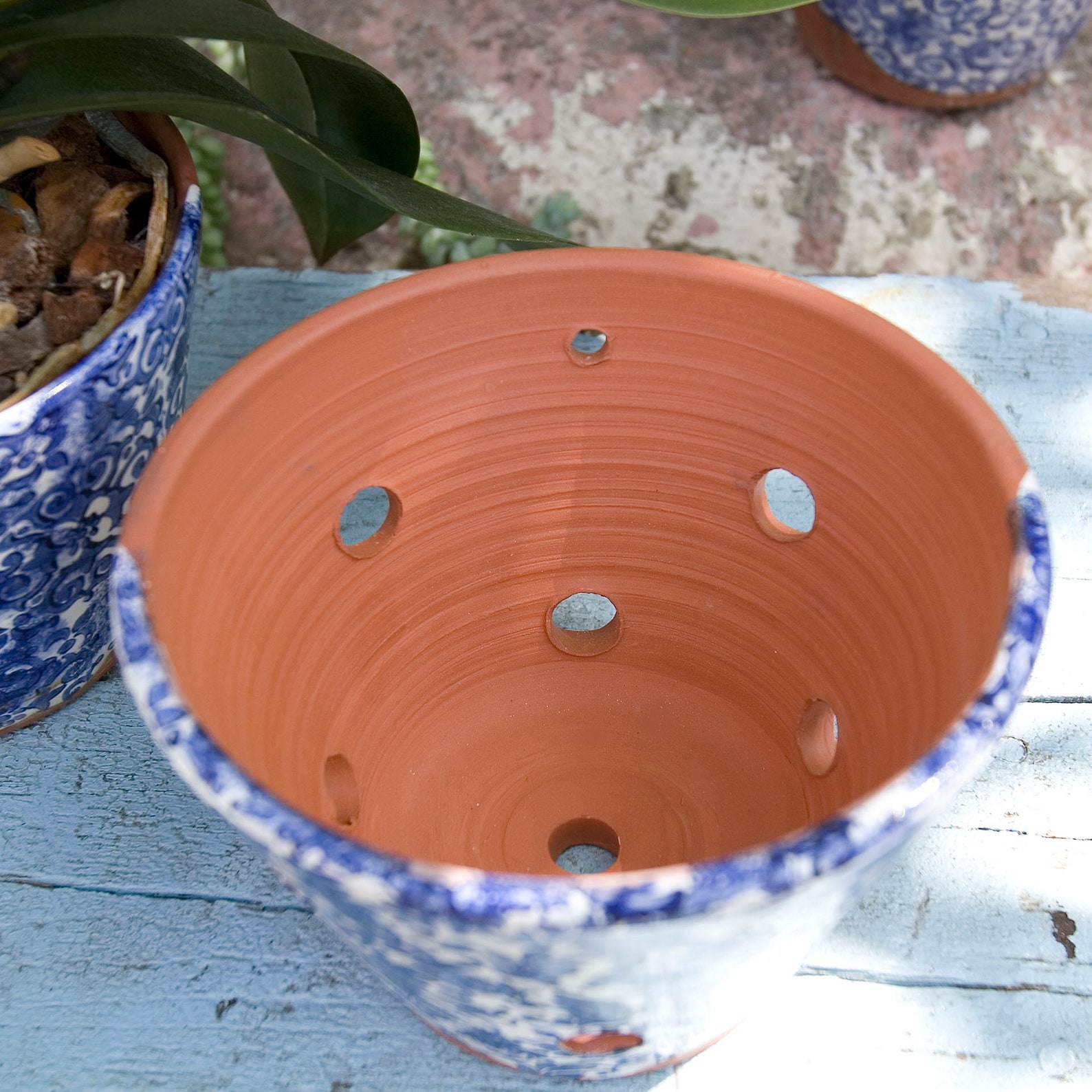 Terra Cotta Orchid Pot With Blue and White Leaf Etsy