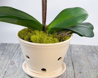 Six Inch Diameter Off White Orchid Planter with Holes for Air Circulation,Handmade Pot with Saucer,Gift for Orchid Grower,Modern Ivory Decor