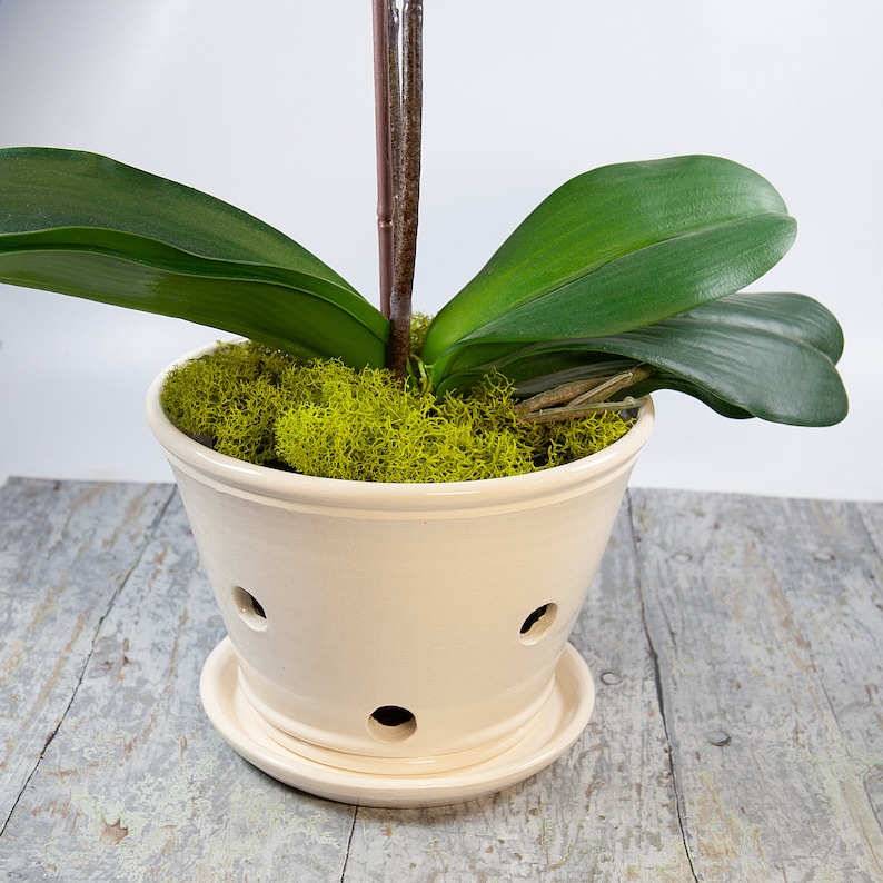 Handmade Orchid Planter with Saucer: 6 Inch Ivory Ceramic Pot image 1