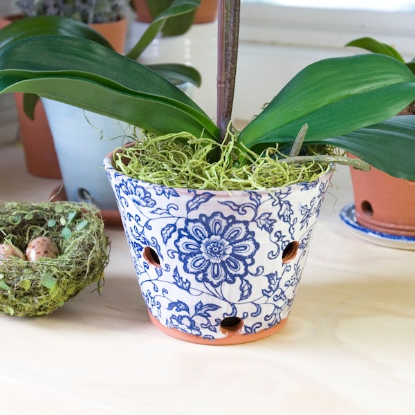 Orchid Pots With Holes Etsy
