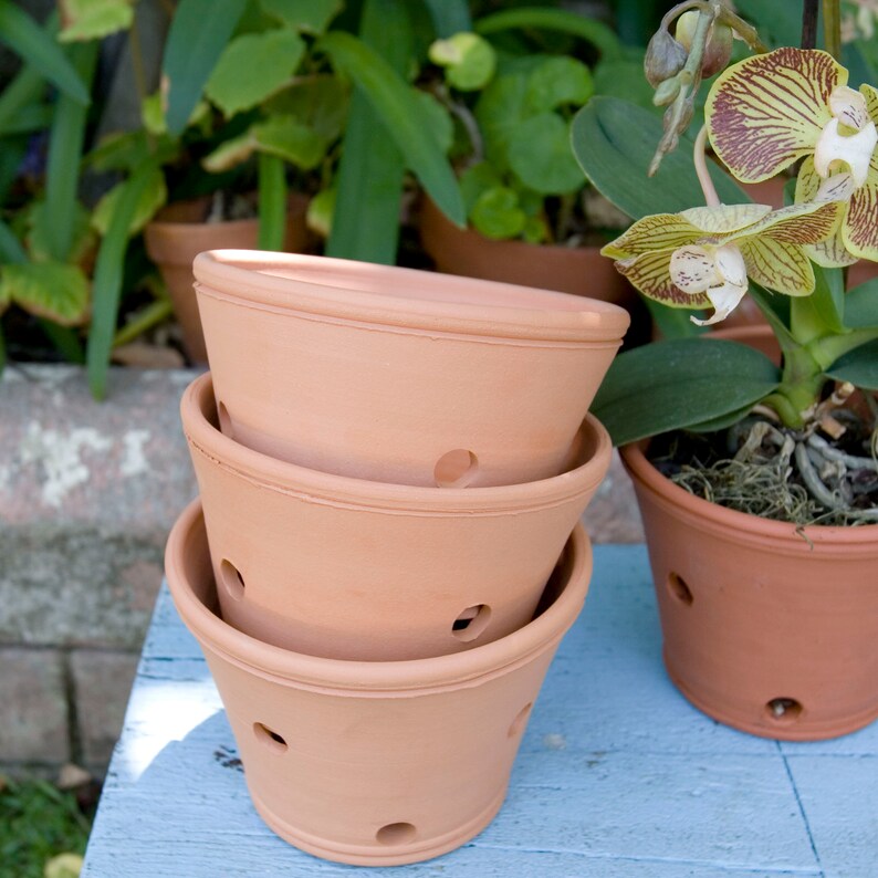 Orchid Planter with Holes for Air CirculationHandmade Buff