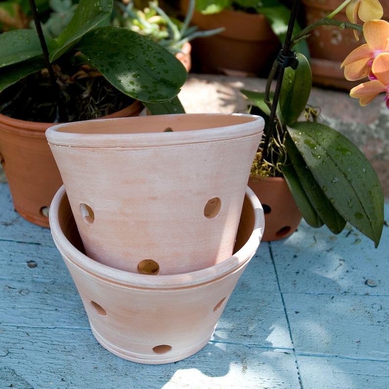 Whitewashed TerraCotta Orchid Planter/Pot with Holes for