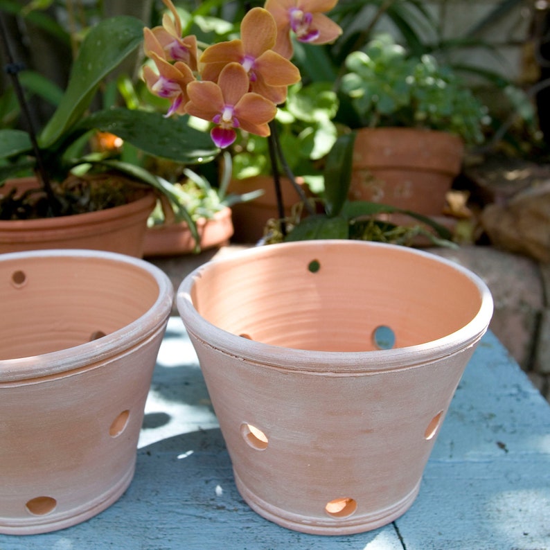 Whitewashed TerraCotta Orchid Planter/Pot with Holes for Etsy