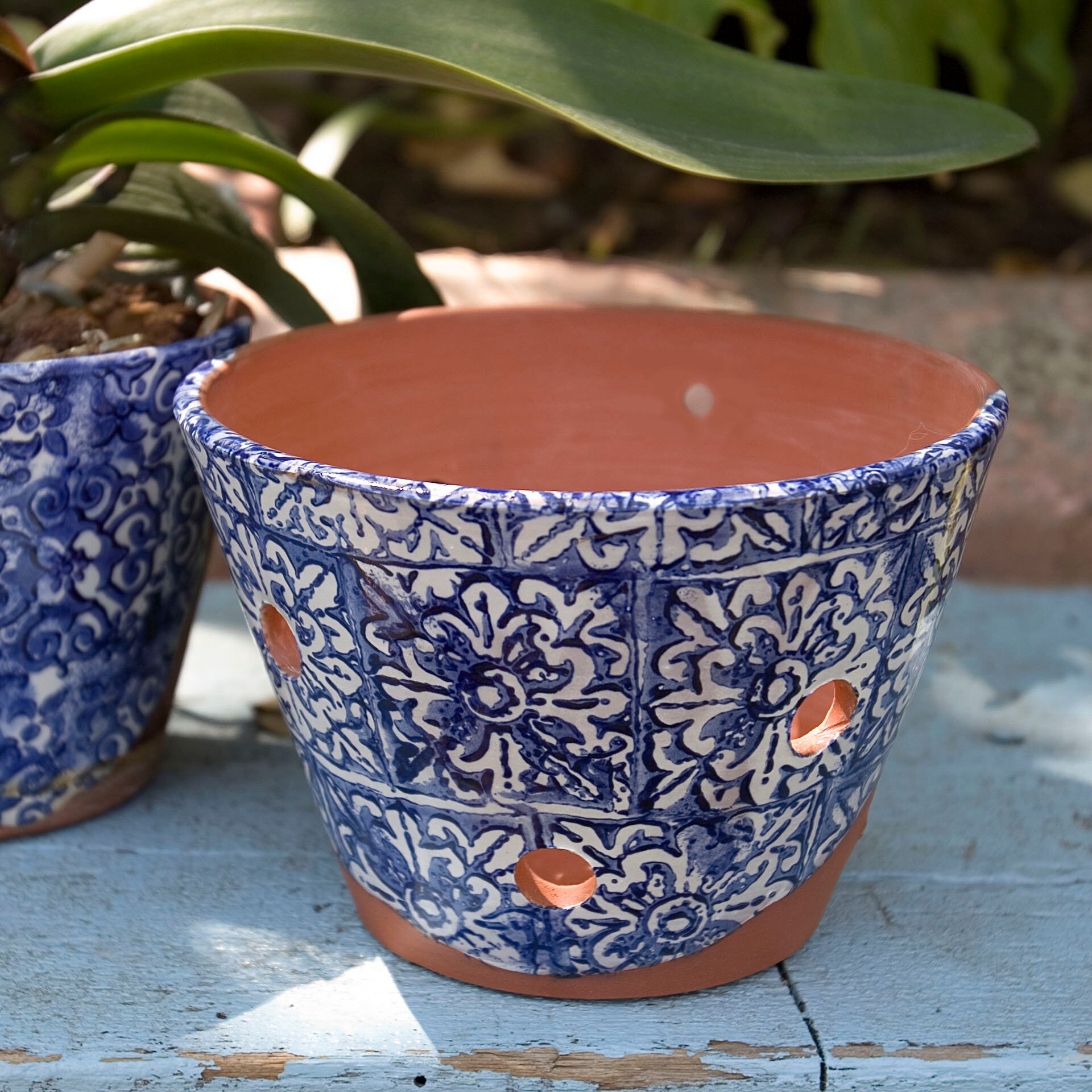 Orchid Pot with Blue and White Design Terra Cotta Planter for Etsy