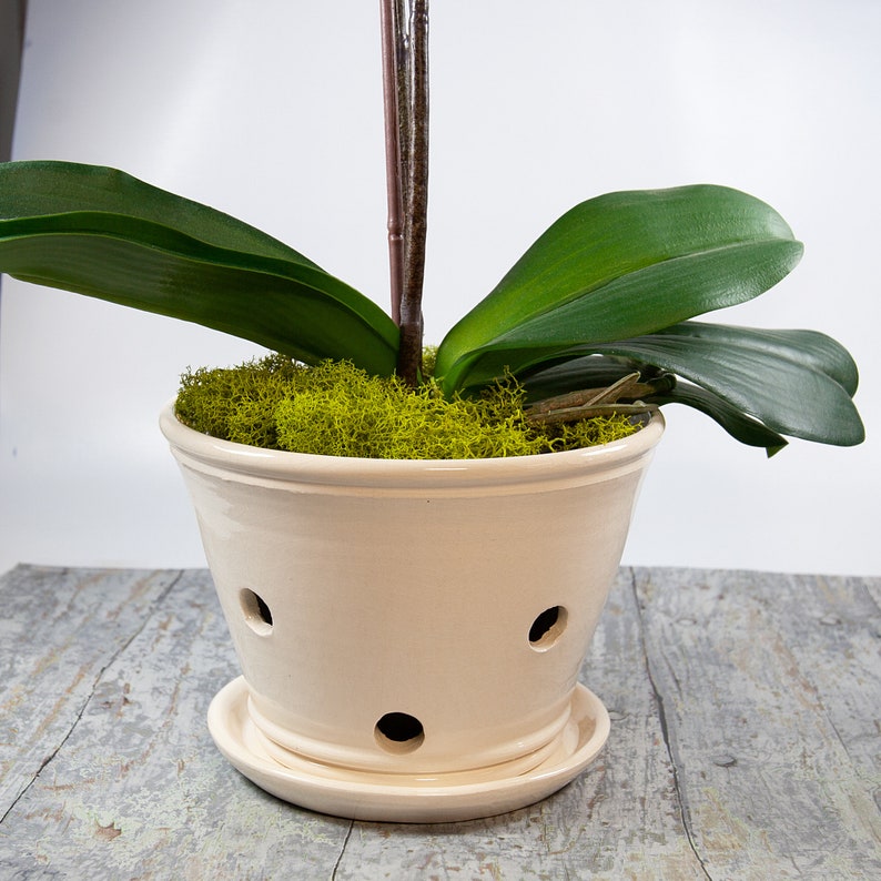 Handmade Orchid Planter with Saucer: 6 Inch Ivory Ceramic Pot image 4