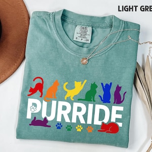 Funny LGBTQ Shirt, Purride Shirt, LGBTQ Cat Shirt, Rainbow Cat Silhouette Shirt, Gay Pride Shirt, Funny Cat Pride Shirt, Cute Gay Shirt