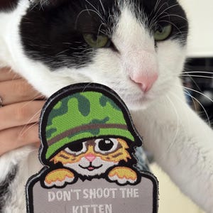 Ghost Recon Breakpoint Dont Shoot The Kitten Patch