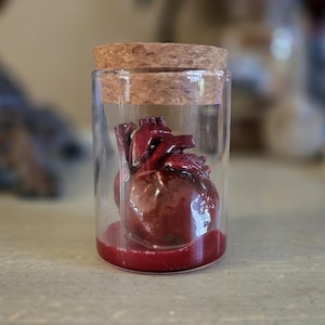 Puede incluir: Un frasco de vidrio con un tapón de corcho contiene un corazón anatómico rojo detallado. El corazón está suspendido en un líquido rojo. El frasco está sobre una superficie clara.