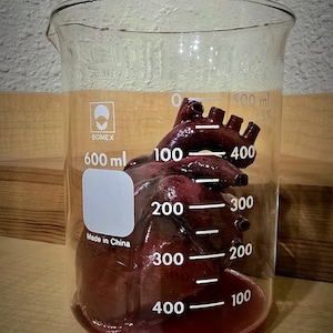 Realistic 3D Printed Human Heart in Glass Beaker– Hand-Painted, Epoxy Blood Effect – Anatomical Decor, Gothic Gift, Valentine, Science Gift