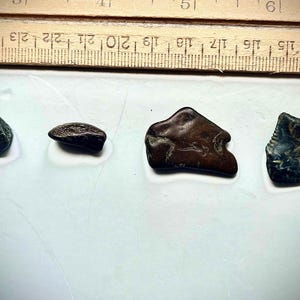May include: Four small, irregularly shaped stones in various shades of brown, black, and green. The stones are arranged in a row on a white surface.