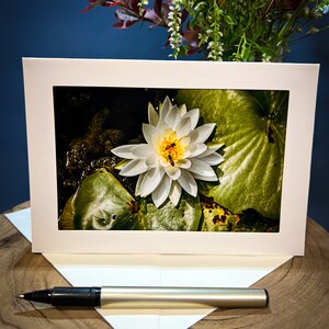 Michigan Nature Bees On Lilly Pad Greeting Card 5.5x7.5 BLANK Inside - Crosswinds Marsh Park