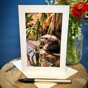 Michigan Nature Beaver Greeting Card 5.5x7.5 BLANK Inside - Kensington Park