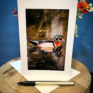 Michigan Nature Wood Duck Greeting Card 5.5x7.5 BLANK Inside - Kensington Park