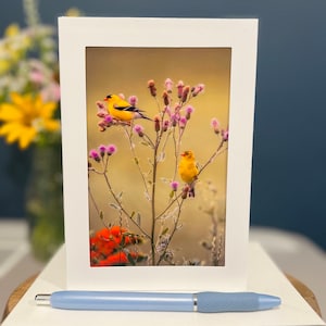 Michigan Nature Golden Finch Greeting Card 5.5x7.5 BLANK Inside - Crosswinds Marsh Park