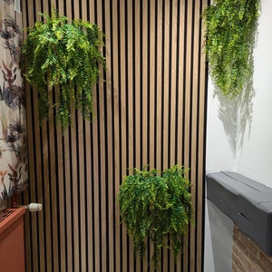 Puede incluir: Una pared con paneles de madera verticales pintados de color marrón claro con rayas verticales negras. Tres plantas verdes cuelgan de la pared.