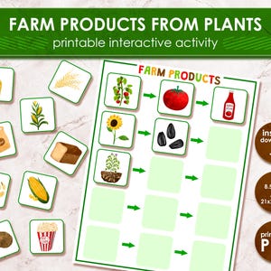 Bauernhof Produkte aus Pflanzen | Printable Grundschule | Vorschulaktivität für Kinder | Kleinkinderziehung | Homeschool Ressourcen | Digitaler Download