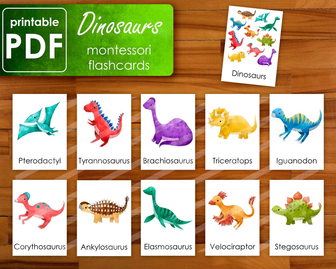 Dinosaurs Flashcards | Montessori Nomenclature Cards | Three Part Cards ...
