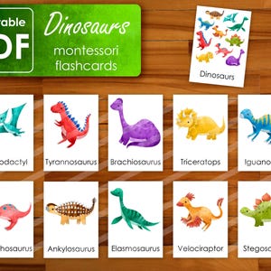 Dinosaurs Flashcards | Montessori Nomenclature Cards | Three Part Cards | Dino Learning | Educational Resources | Homeschool Printables