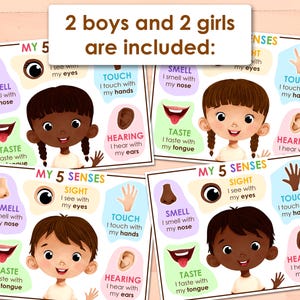 My 5 Senses Printable Pack | 5 Human Senses Preschool Learning Game ...