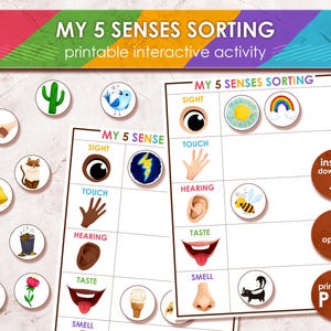 My 5 Senses Sortierspiel | Druckbare Vorschule Lernordner Aktivitäten | Homeschool Printables | Passende Lernaktivität