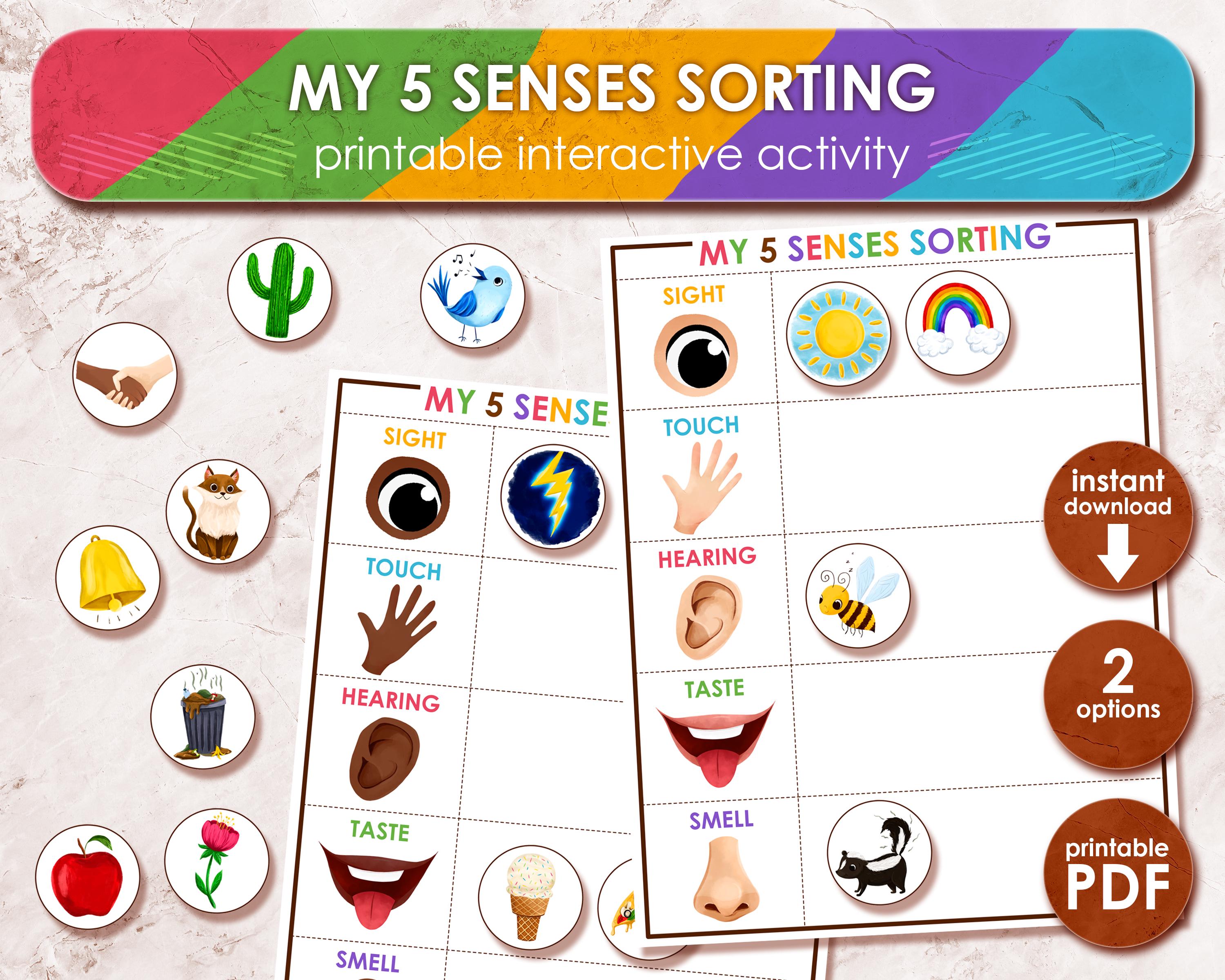 My 5 Senses Sorting Game | Printable Preschool Learning Folder ...