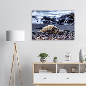 Poster di fotografia artistica di tartarughe hawaiane su spiaggia di sabbia nera con roccia lavica e oceano, carta opaca premium