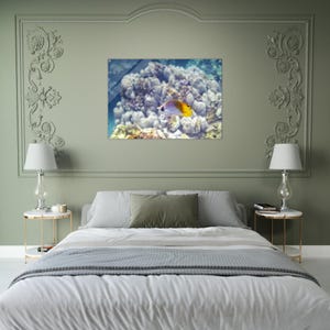 Sunlit Butterfly Fish in Hawaiian Ocean Coral Reef Underwater Nature Tropical Dreams Fine Art Photography Acrylic Print