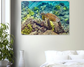 Hawajska grafika ścienna z żółwiem morskim nad rafą koralową pod wodą, Honu, tropikalne sny, fotografia artystyczna, wydruk akrylowy