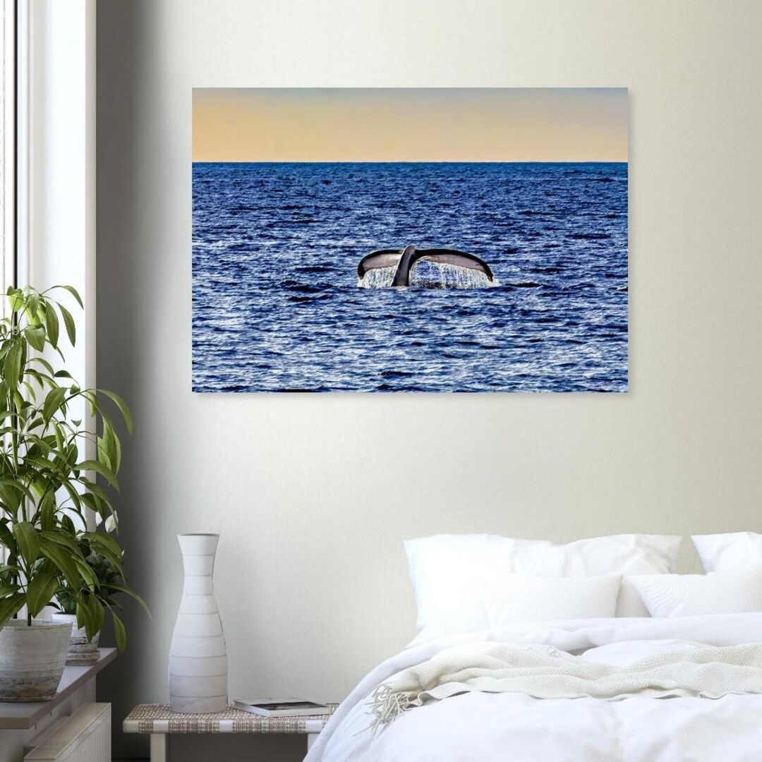 Humpback Whale Tail Dive at Ocean Sunset Majestic Marine Life ...