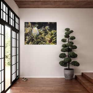 Colorful Butterflyfish Coral Reef Scene Hawaii Tropical Dreams Underwater Photography Vibrant Ocean Fine Art Aluminum Print
