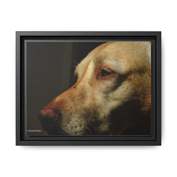 Framed Matte Canvas Wall Art: Serene Dog Portrait, Pet Decor, Animal Lover Gift, Home Decor, Dog Lover Gift, Gallery Wall