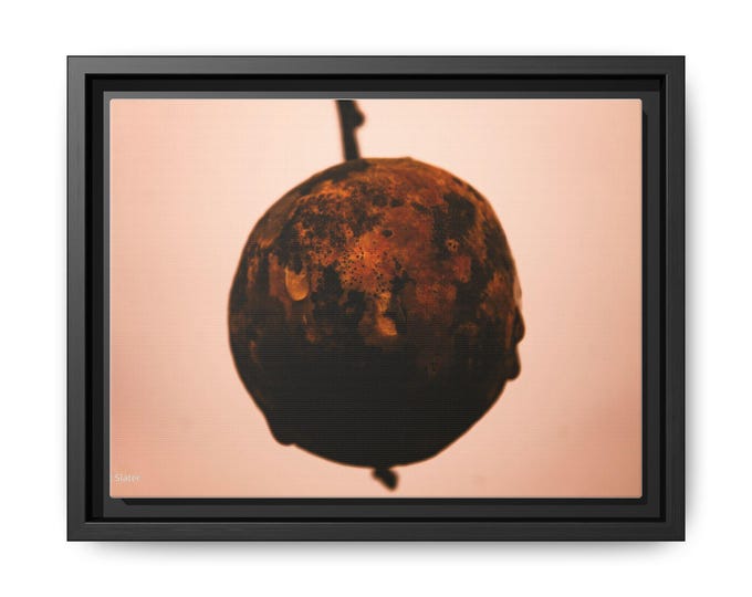 Abstract Fruit Framed Canvas Art Print: Modern Home Decor.