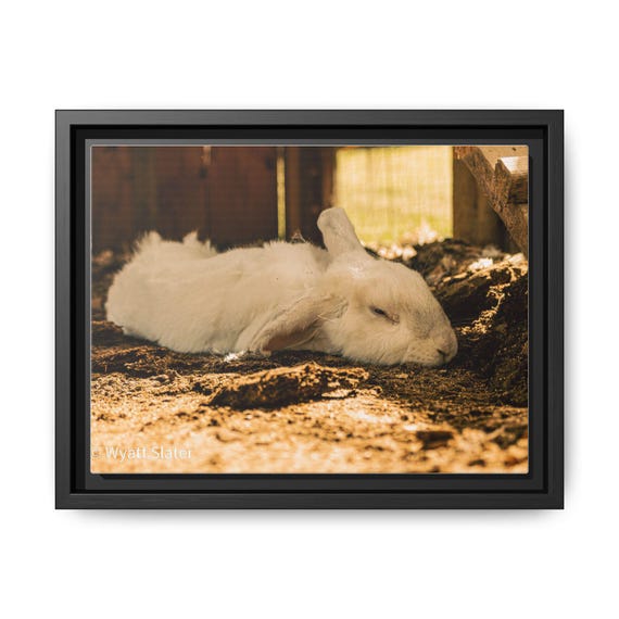 Framed Rabbit Art Print, Cozy Wall Decor for Animal Lovers, Multi-color Canvas, Home Gallery, Gift for Pet Owners, Nature Artwork