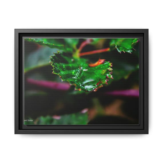 Framed Botanical Art Print, Modern Home Decor, Green Leaf Wall Art, Nature Illustration, Gift for Plant Lovers, Eco-Friendly Decor