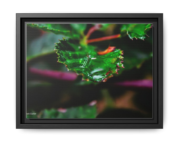 Framed Green Leaf Canvas Art Print: Modern Botanical Wall Decor .