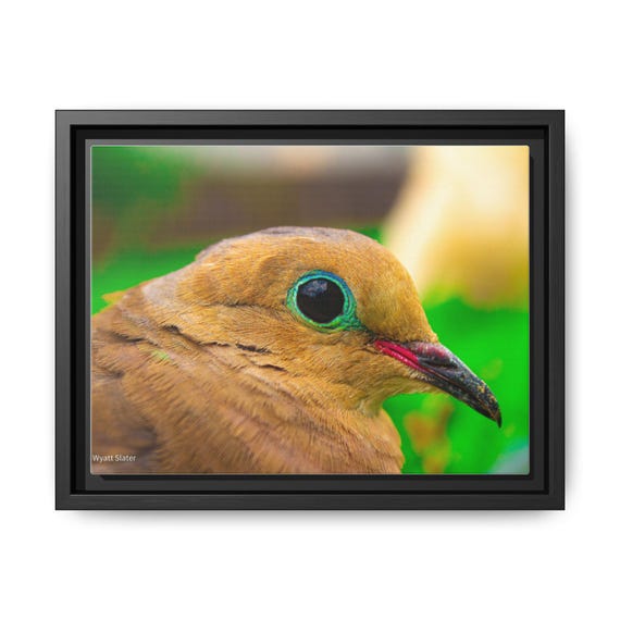 Framed Art Print - Colorful Bird Canvas, Home Decor, Nature Wall Art, Gift for Bird Lovers, Colorful Framed Decor