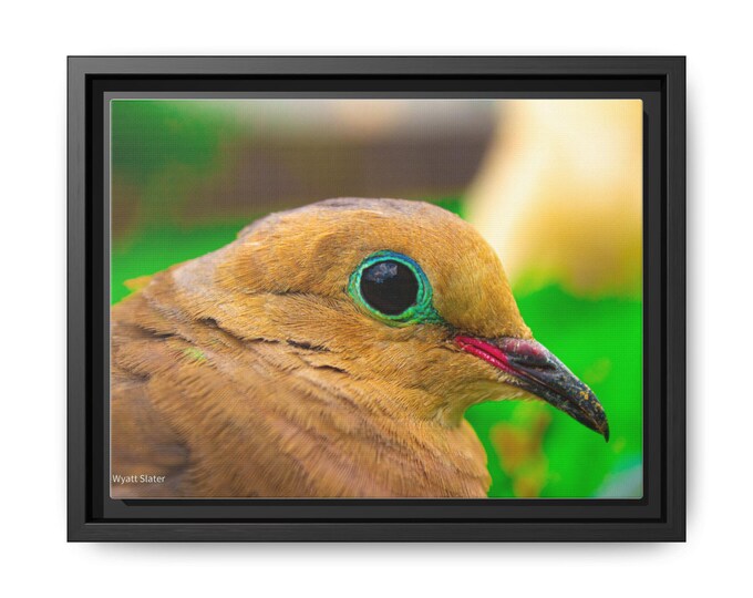 Framed Art Print - Colorful Bird Canvas, Home Decor, Nature Wall Art, Gift for Bird Lovers, Colorful Framed Decor