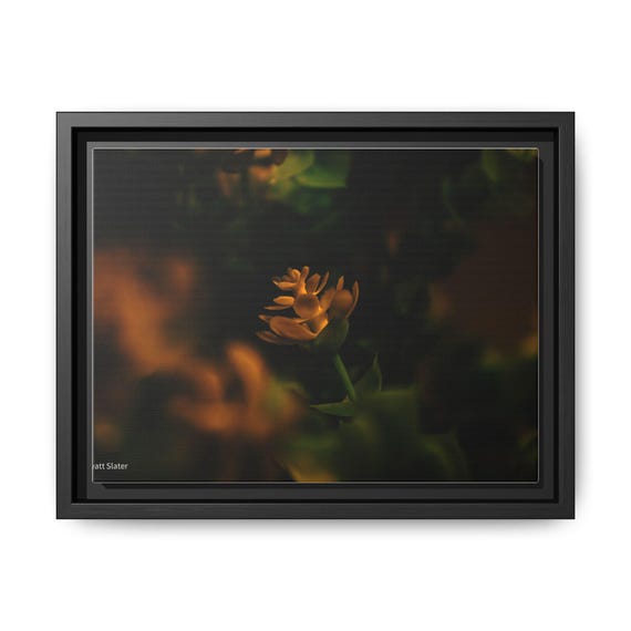 Framed Matte Canvas Wall Art - Elegant Floral Decor, Home Accent, Modern Art Piece, Gift for Nature Lovers, Living Room Decoration