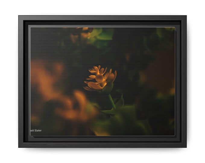 Framed Matte Canvas Wall Art - Elegant Floral Decor, Home Accent, Modern Art Piece, Gift for Nature Lovers, Living Room Decoration