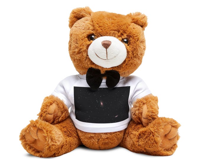 Teddy Bear with T-Shirt