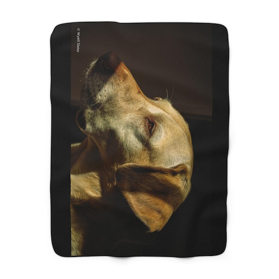 Cozy Sherpa Fleece Blanket for Pet Lovers, Warm Throw Blanket, Perfect Gift for Dog Owners, Home Decor, Pet Memory Blanket