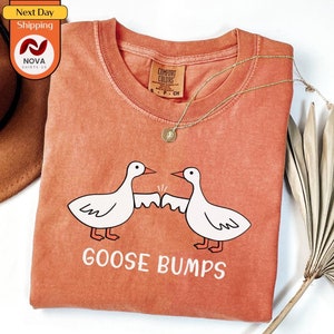 Comfort Colors Funny Goose Shirt, Goose Bumps Shirt, Silly Goose Shirt, Funny Goose Outfit, Goose Lover Tee, Goose Graphic Tee, Meme Tshirt