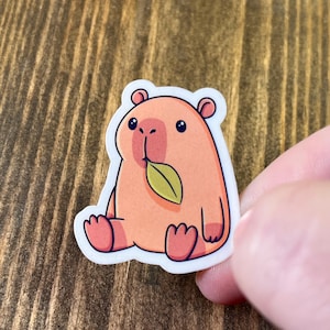 Capybara Sticker Sheet - Cute Capybara Art Glossy Sticker Sheet image 3