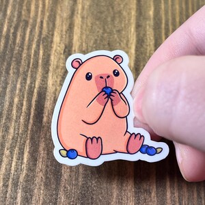 May include: A sticker featuring a cartoon capybara in shades of peach and pink, seated and eating a blueberry. The capybara has small black eyes and is surrounded by additional blueberries. The sticker has a white border.