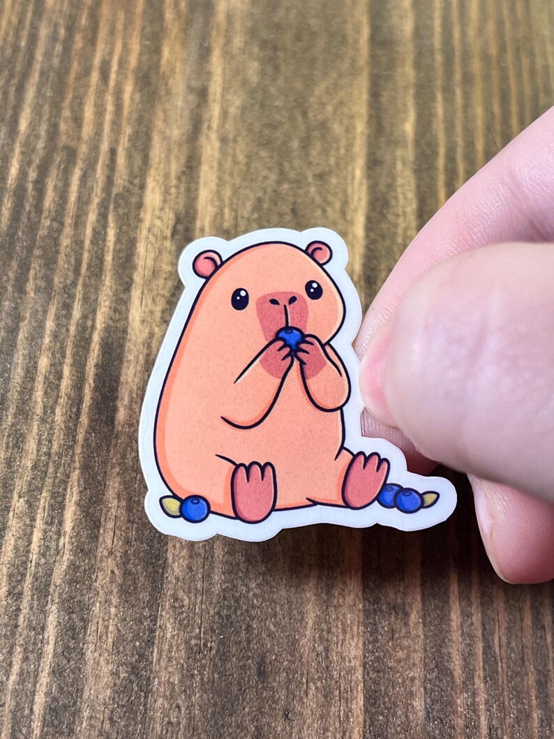 May include: A sticker featuring a cartoon capybara in shades of peach and pink, seated and eating a blueberry. The capybara has small black eyes and is surrounded by additional blueberries. The sticker has a white border.