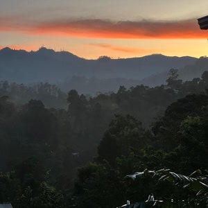 May include: A scenic view of a mountain range at sunrise, with a layer of fog covering the trees in the foreground.