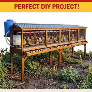 Op de afbeelding: Een houten verhoogde kwartelkooi met een dak van gegolfd metaal. De kooi heeft meerdere compartimenten met kwartels, eierverzamelbakken en een automatisch watersysteem. De tekst luidt "RAISED QUAIL CAGE BUILD PLANS".