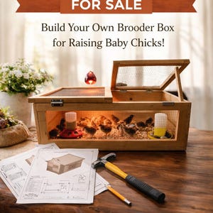 Quail Brooder Box Plans | Predator-Proof Build Guide (Digital Download)